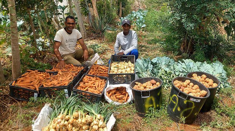 Campo Experimental em Porto Novo: Sucesso em Técnicas Agroecológicas