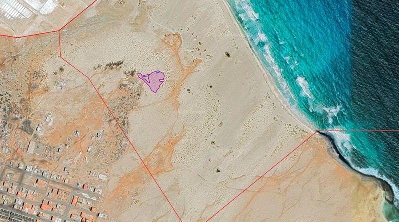 Ilha do Sal: Projeto Biodiversidade alerta para construções invasivas