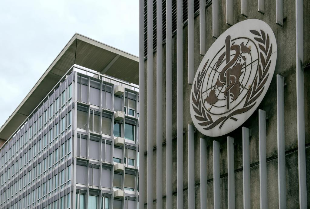 Mundo/
OMS alerta sobre aumento de vítimas no Iémen na última semana